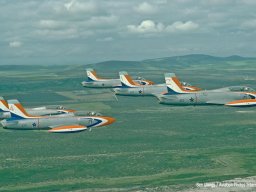 00306N Silver Falcons